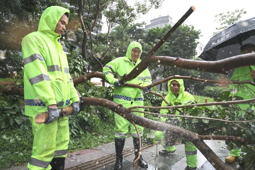  Trung Quốc triển khai nhiều biện pháp ứng phó bão Wipha